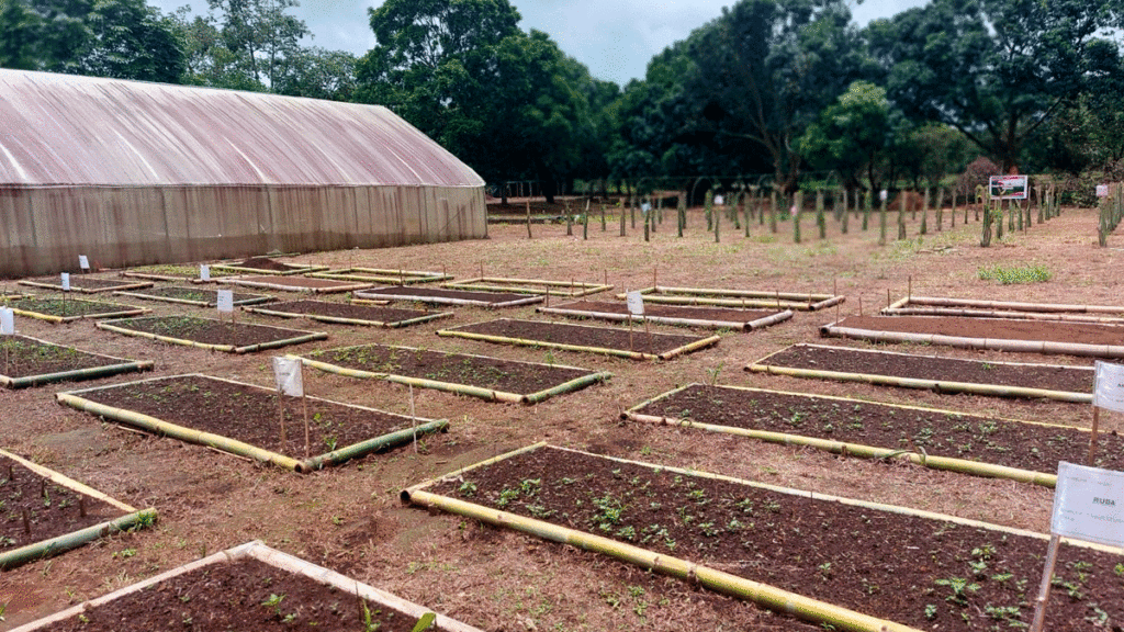 Campos de siembra de frutas en Masatepe