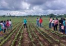 Productoras de Masaya durante la presentación sobre el cultivo del frijol a doble surco
