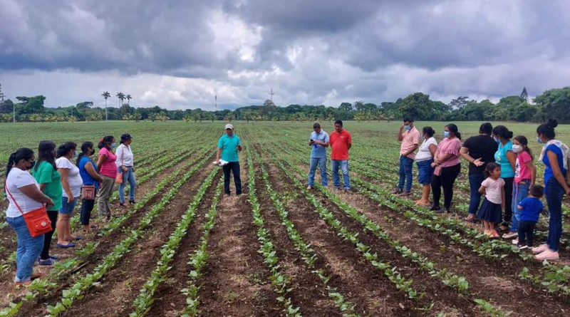 Productoras de Masaya durante la presentación sobre el cultivo del frijol a doble surco