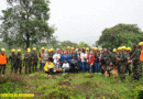 Efectivos del Ejército de Nicaragua participando en lanzamientos departamentales de jornadas de reforestación en Chontales y Boaco