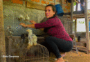 Emprendedora y dueña del Zoocriadero “El Gallo Negro” en Belén, Rivas.
