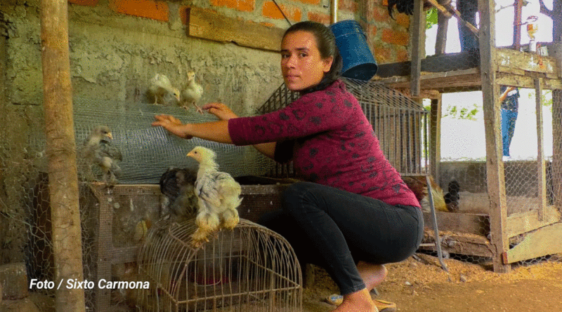 Emprendedora y dueña del Zoocriadero “El Gallo Negro” en Belén, Rivas.