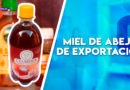 miel de abeja, el sauce, león