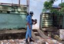 brigadas fumigacion, minsa, dengue, ministerio salud,