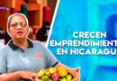 emprendimientos, vino, nicaragua