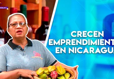 emprendimientos, vino, nicaragua
