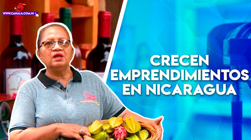 emprendimientos, vino, nicaragua