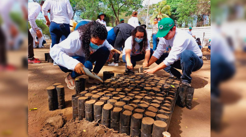 Protagonista del INAFOR participando del simposio nacional sobre el manejo de enfermedades y plagas en viveros.