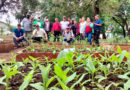 Productores de Managua que participaron en la capacitación de nuevas técnicas de reproducción y manejo de viveros por parte del INTA.
