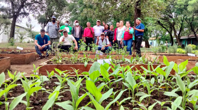Productores de Managua que participaron en la capacitación de nuevas técnicas de reproducción y manejo de viveros por parte del INTA.