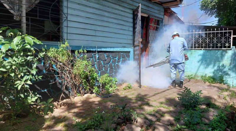 fumigacion, minsa, ministerio de salud, lucha anitepidemica, barrio freddy herrera,