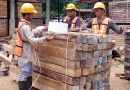 madera teca, equiforest, nandaime, nicaragua,