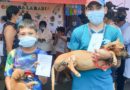 jornada vacunacion canina, vacunacion antirrabica, minsa,