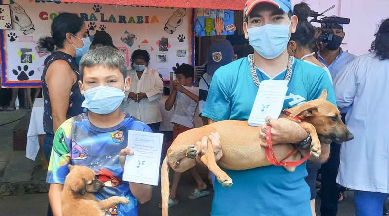 jornada vacunacion canina, vacunacion antirrabica, minsa,