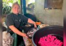 gobierno sandinista, negocio, mefcca, la chela,