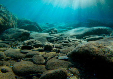 océano, piedras, arena, agua