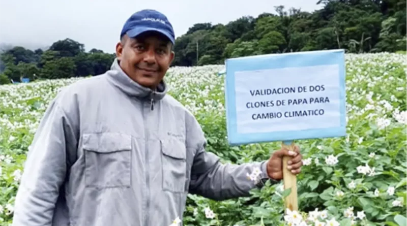 producción, semilla, estelí, nicaragua