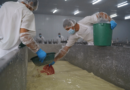 Proceso de Producción de lácteos en Planta Procesadora de Lácteos LACTONIC