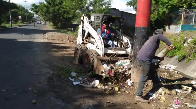 alcaldia de managua, reyna rueda, managua, limpieza, criaderos de zancudos,