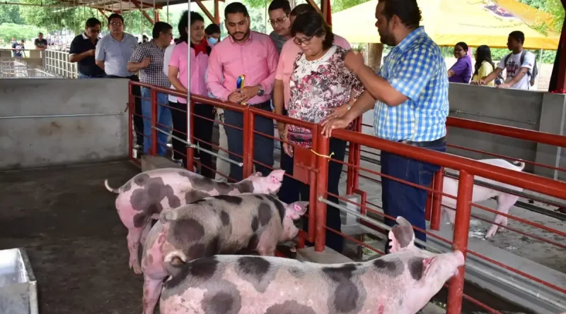 mejoramiento genetico, unan leon, leon, granja de cerdos, veterinaria,