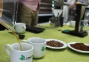 café, tasa, granos, producción, subasta