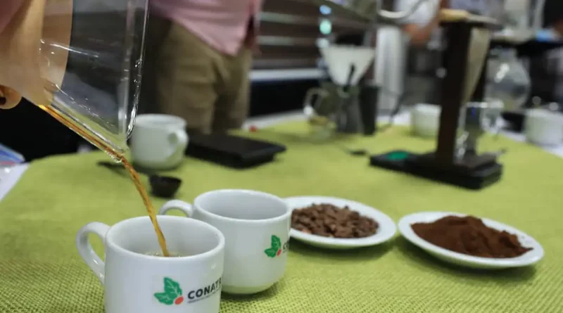 café, tasa, granos, producción, subasta