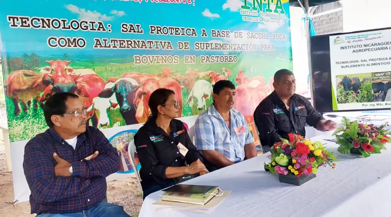 INTA, Chontales, tecnología, suplemento, bovinos