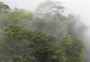 clima, ineter, tormentas,