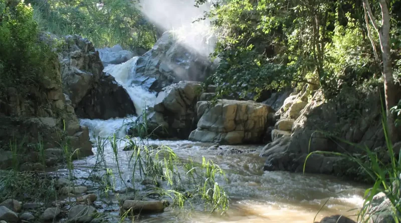 cuenca, agua, río, hídrica, manejo, Dipilto, sistema, hectáreas, protección,