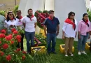león, nicaragua, gata, cuun