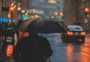 lluvia, estudio, investigación, contaminación, desechos, sustancias, salud