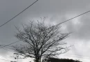 lluvias, ineter, caribe nicaraguense,