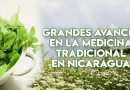 medicina tradicional, medicina natural, nicaragua,
