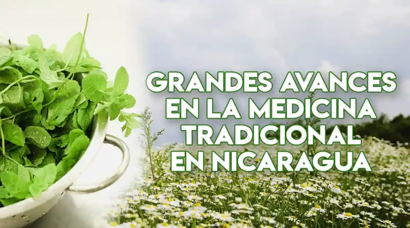 medicina tradicional, medicina natural, nicaragua,