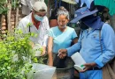 epidemiológica, enfermedades, casos, Neumonía, Malaria, Dengue
