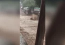 niño, imprudente, matagalpa, lluvia, corriente, arrastrado