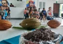 inta, cacao, gobierno de nicaragua, clones de cacao