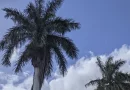 lluvias, soleado, nicaragua, ineter