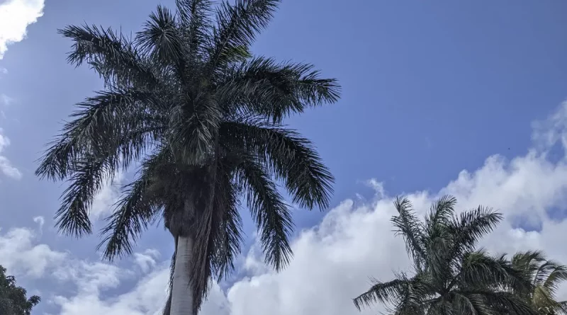 lluvias, soleado, nicaragua, ineter