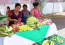 MEFCCA, Nicaragua, Producción, Plátano