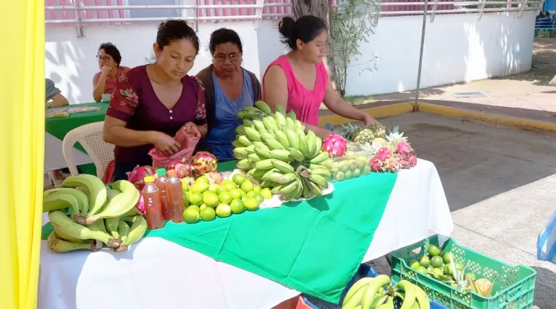 MEFCCA, Nicaragua, Producción, Plátano