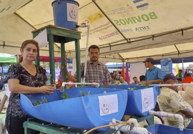 chinandega, agroinnovacion