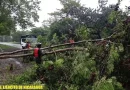 ejercito de nicaragua, nicaragua, tormenta tropical julia, julia, huracan julia,