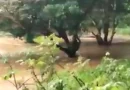 fanasma, panama, video, rio, portal, estraño