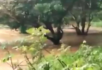 fanasma, panama, video, rio, portal, estraño