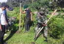 nicaragua, jinotega, apanás, ejército de nicaragua, ejército, reforestación