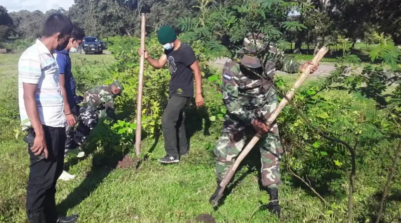 nicaragua, jinotega, apanás, ejército de nicaragua, ejército, reforestación