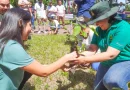 nicaragua, mined, inta, inafor, campaña, reforestación, verde