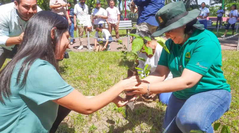 nicaragua, mined, inta, inafor, campaña, reforestación, verde