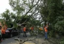 lluvias, el salvador, tormenta, tropical, julia